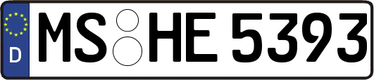 MS-HE5393
