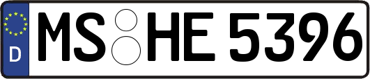 MS-HE5396