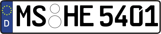 MS-HE5401