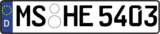 MS-HE5403