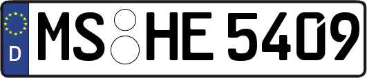MS-HE5409