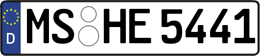 MS-HE5441