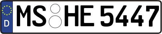 MS-HE5447