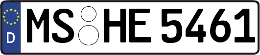 MS-HE5461