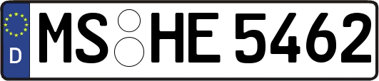 MS-HE5462