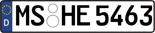 MS-HE5463