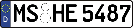 MS-HE5487