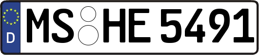 MS-HE5491