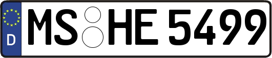 MS-HE5499