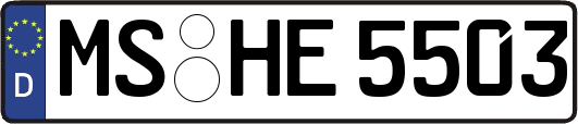 MS-HE5503