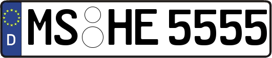 MS-HE5555