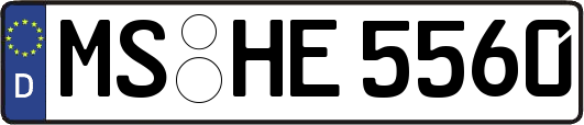 MS-HE5560