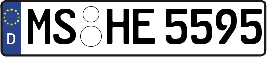 MS-HE5595