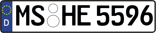 MS-HE5596