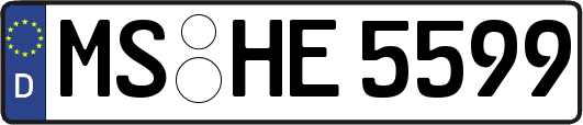MS-HE5599