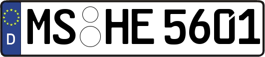 MS-HE5601