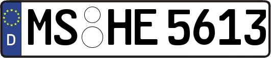 MS-HE5613