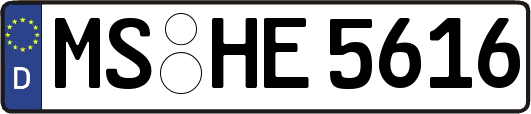 MS-HE5616