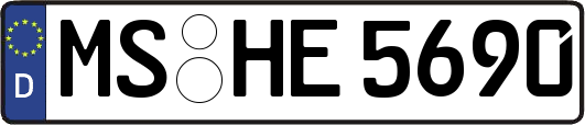 MS-HE5690