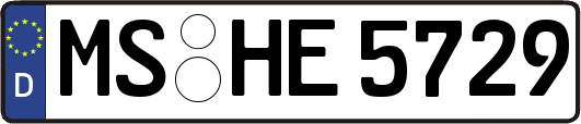 MS-HE5729