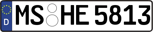 MS-HE5813