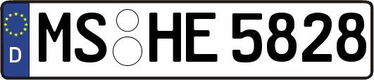 MS-HE5828