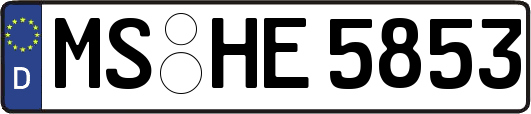MS-HE5853