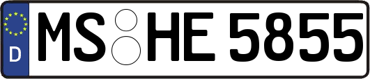 MS-HE5855