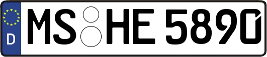 MS-HE5890