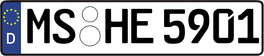 MS-HE5901