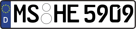 MS-HE5909
