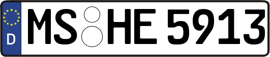 MS-HE5913
