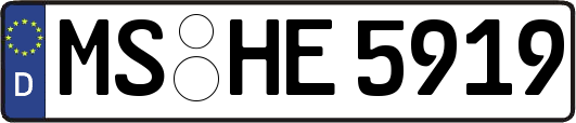 MS-HE5919