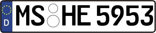 MS-HE5953