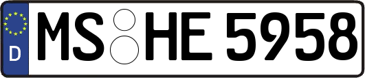MS-HE5958