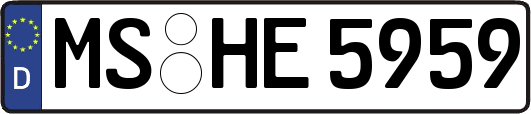 MS-HE5959