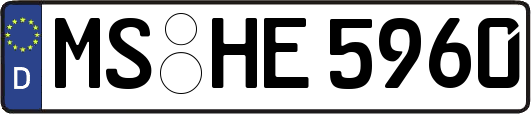 MS-HE5960