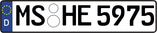 MS-HE5975