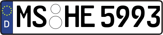 MS-HE5993