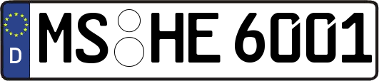 MS-HE6001