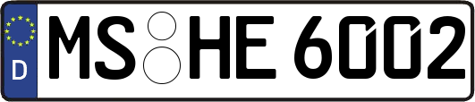 MS-HE6002