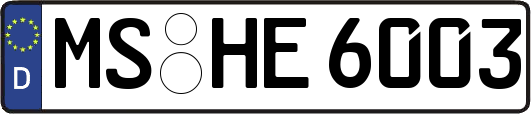 MS-HE6003