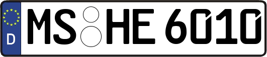 MS-HE6010