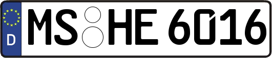 MS-HE6016