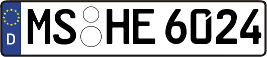 MS-HE6024