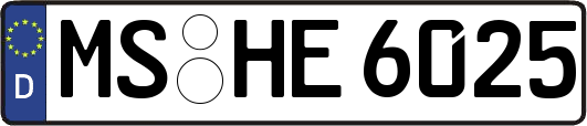 MS-HE6025