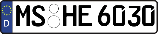 MS-HE6030
