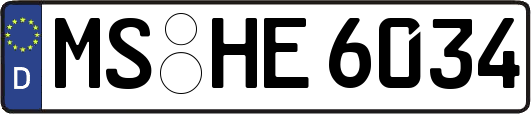 MS-HE6034