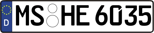 MS-HE6035