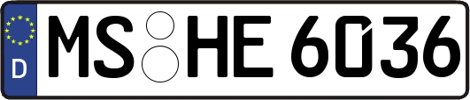 MS-HE6036